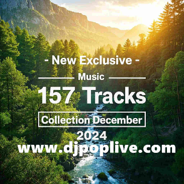 全新独家DJ电子音乐 2024 年 12 月 - 157 首曲目合集
