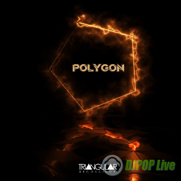 【专辑】VA - Polygon [TRC083]